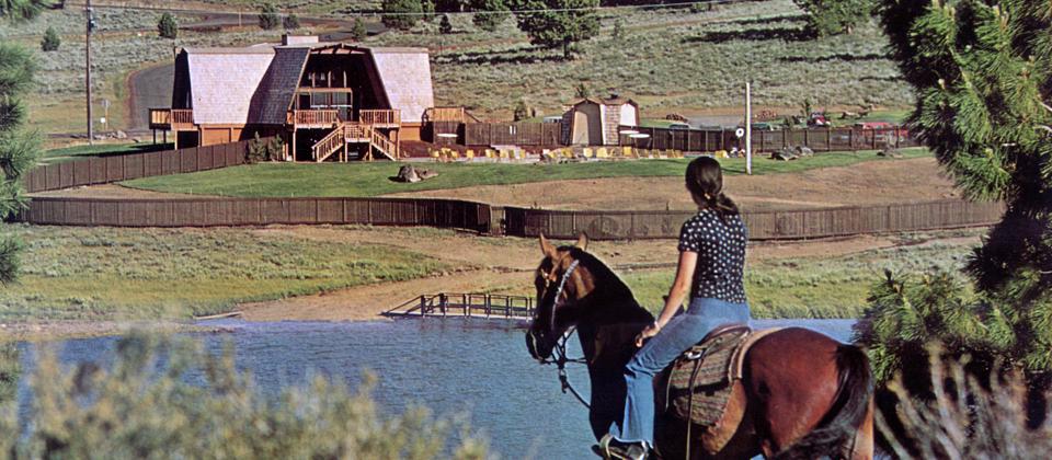 A Woman Riding a Horse Beside a Tranquil Pond