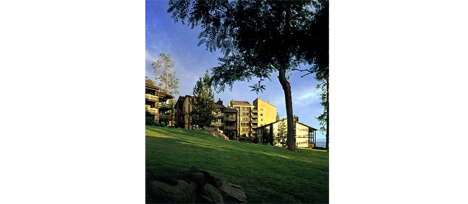 Scenic Ocean View from a Cliff