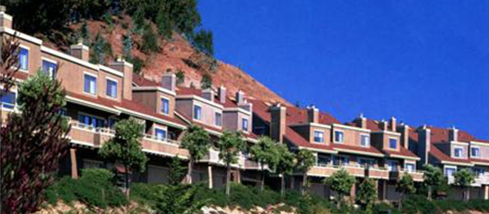 A Picturesque Row of Houses Nestled Along the Slope of a Green Hill